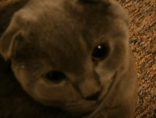 Kaiya