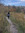 Aislinn