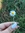amanted_historias