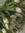 Martapp11