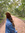 ash brown | 1 comments