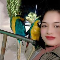 অন্নেসা রহমান