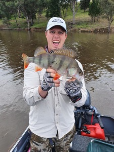 Sean Finn