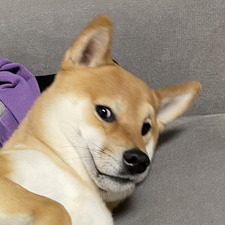 Neringa Bastikaitytė