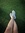 Lamb In a Meadow | 5 comments