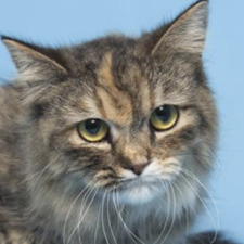 Elinor