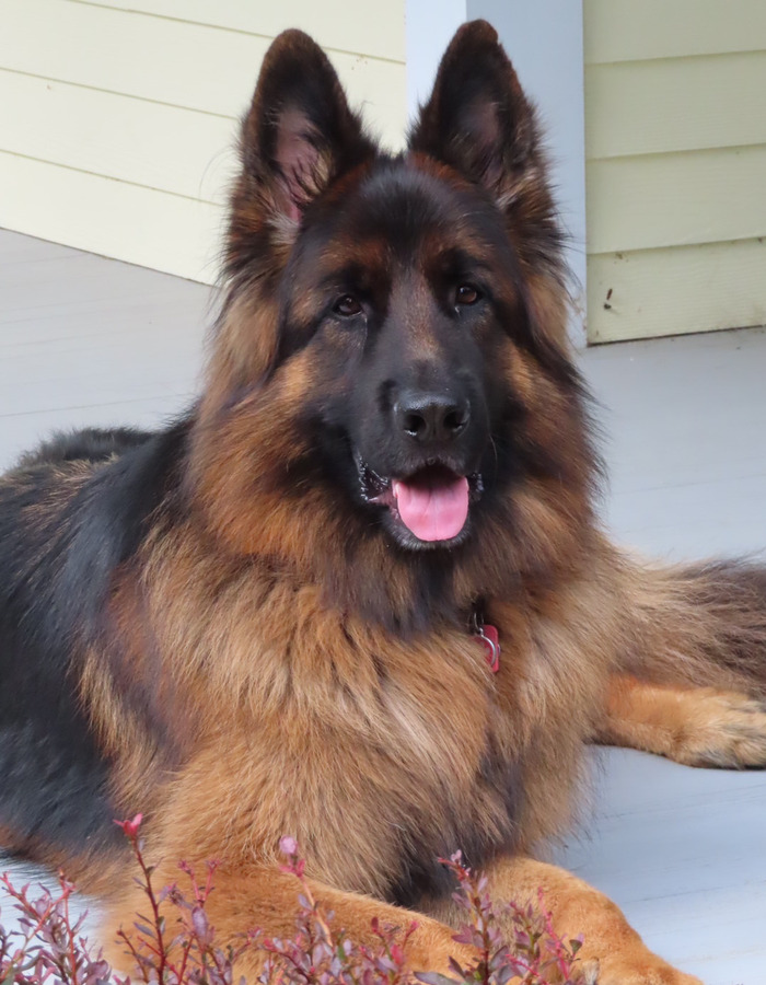 Goodreads profile picture for @ottoman