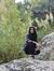 Sidra S...