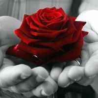 عقيل الجشعمي