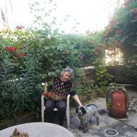 Claudia Marrapodi