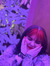 Alisha
