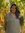 Gopi Patel
