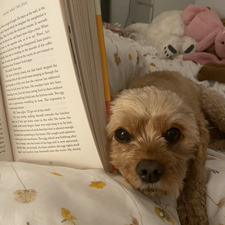 Charlotte Williamson