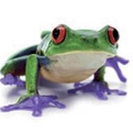 Jean-Benoit Kauffmann