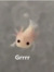 Taryn