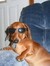 Nele