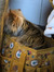Vincent...