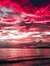 NCN005