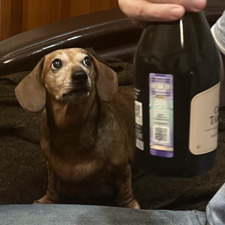 Анастасия Тимофеенко