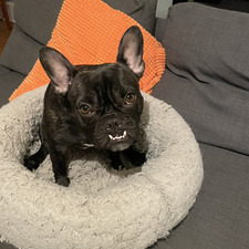 Katie Rose-Alexander