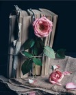 Doaa