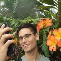 Andrew Feigel