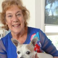 Tess Rowley Author
