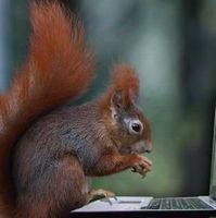 Володимир Мороз