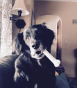 Ella