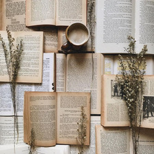 gioisaddictedtobooks