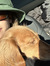 Tiffany...