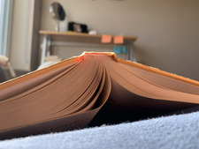 Readinginsteadofstudying
