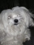 Macy