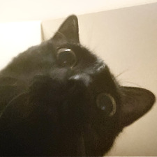 ✧･ﾟ: * nhim ✧･ﾟ:* 