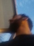 Sergio