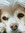 member photo member photo
