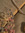 member photo member photo