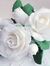Rose Leeza