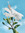 member photo member photo