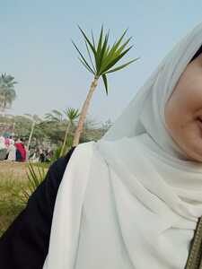 چويرية محمود