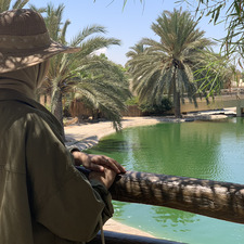 Zuhur