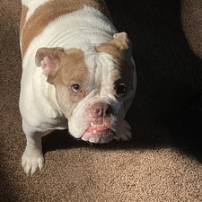 Cathy Mcnamee ringer