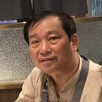 Hoa Phan