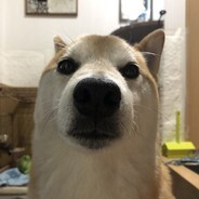Shib Ssi