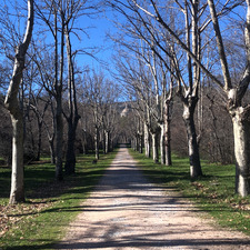 Guillermo Pablos Murphy