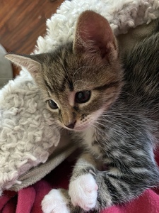 Dannille  Vanderpool 