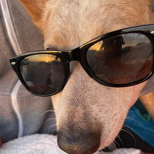 Cathie (ClassyLibrarian)