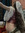 Katelyn Wrigglesworth