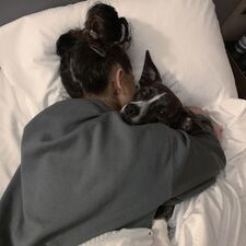 cuddle