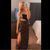 Brittany Stites